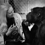 koko4