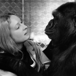 koko5